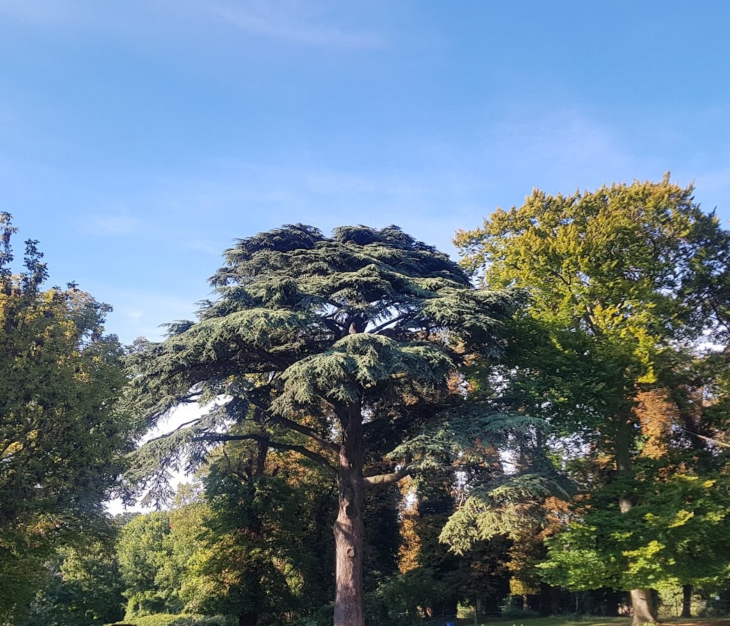Park of Montjean 3
